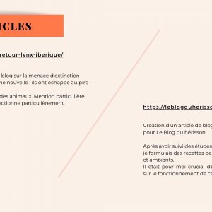 Potrfolio 3