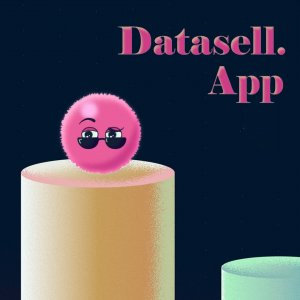 Video interne de présentation pour Datasell