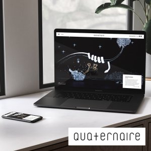 Site internet pour Quaternaire