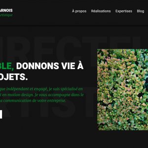 Harnois Alan - Portfolio
