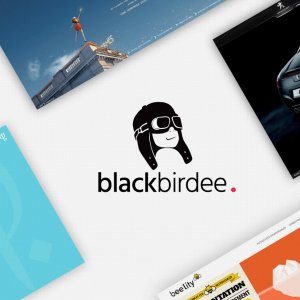 BLACKBIRDEE ★ Création digitale, Design, Dev. Web, Com 360°