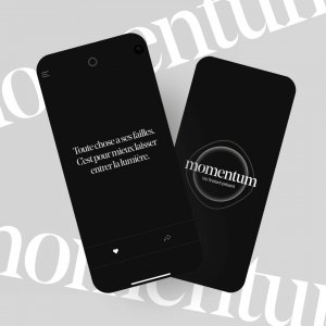 Momentum