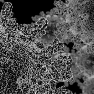 Coronavirus Image Serie