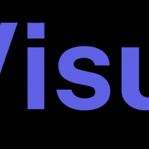 Visuality