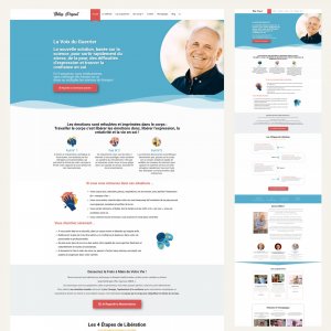 Refonte site WordPress