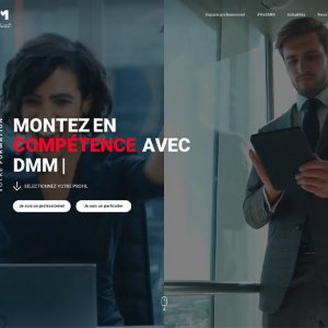 Groupe DMM