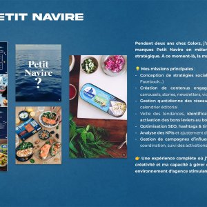 Petit Navire - Stratégie Social Media