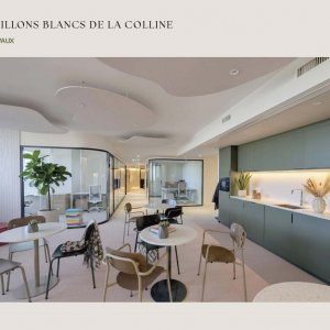 Plateau de Bureau | Les Papillons Blancs de la Colline