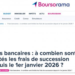 Article Boursorama