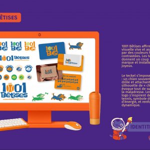 1001 Bêtises