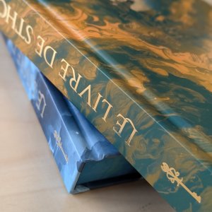 Le Livre de Sthorm