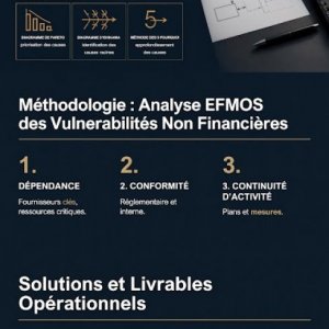 Portfolio_FrancoiseBarro_GestionDesRisques_PME
