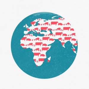 L214 - Série de vidéos pédagogiques : Nourrir l'humanité