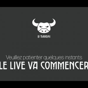 "Le Torreau" - Identité Visuelle