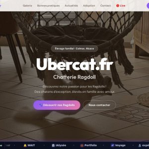 Site React d’élevage félin avec chatbot et contrats PDF