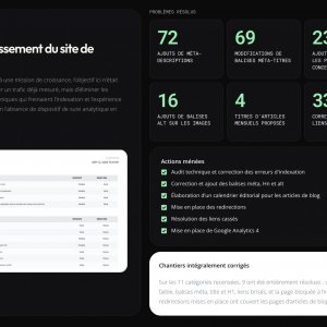 Audit et assainissement technique SEO