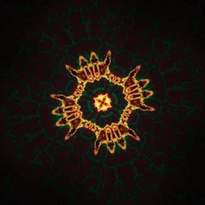 Ronan C.